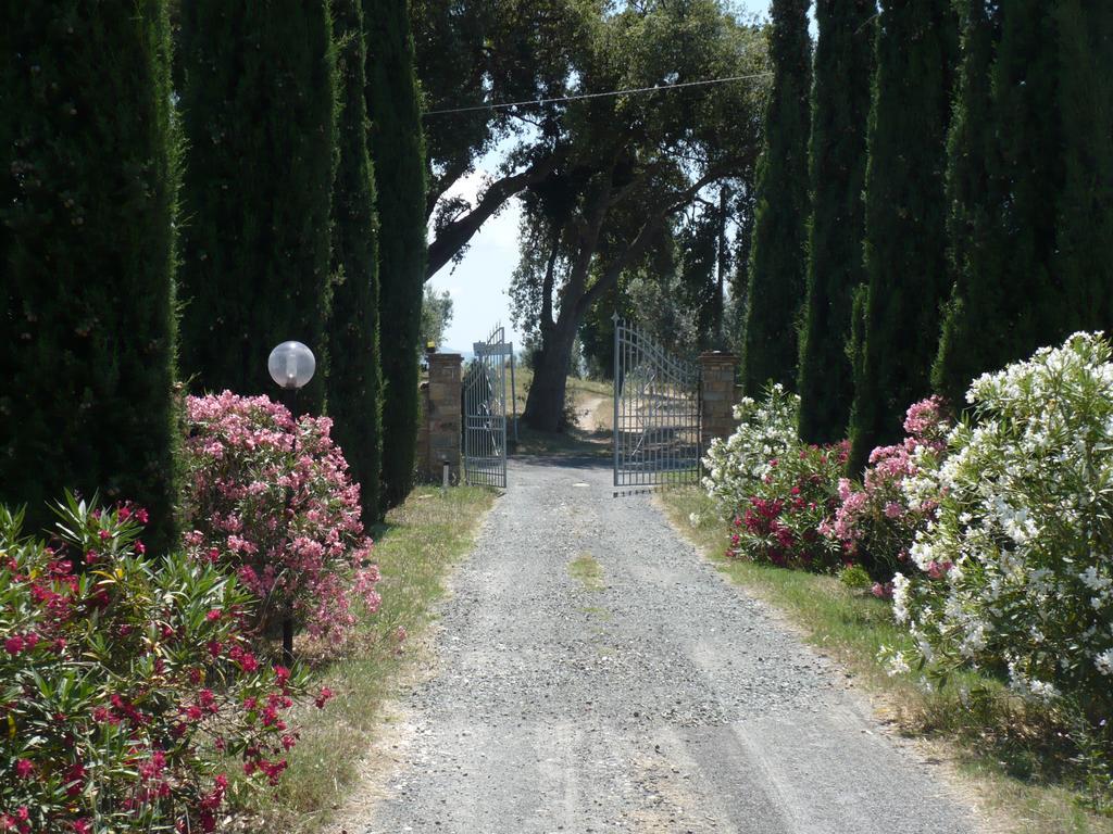La Sassetta Villa Bibbona Exterior photo